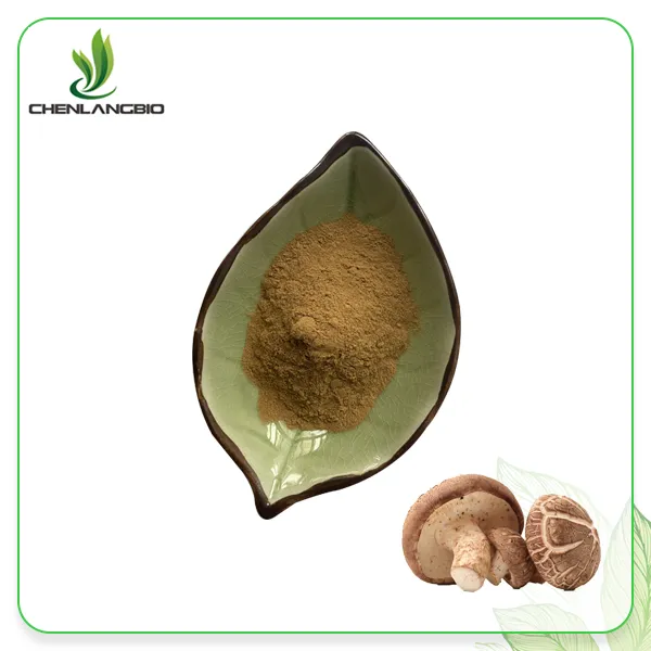 Shiitake Mushroom Extract Powder